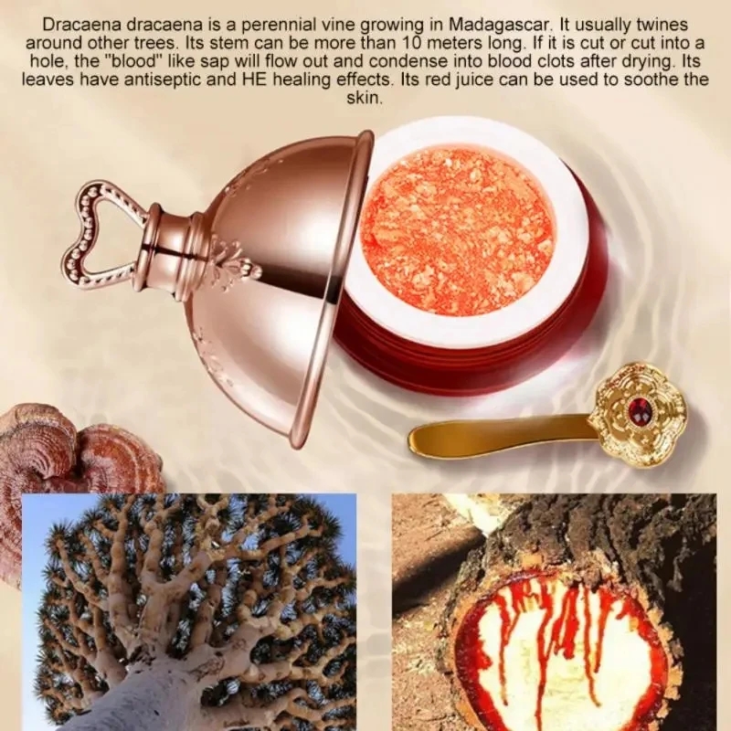 Dragon's Blood Face Cream Reti – Luxury Skincare Brands recenzja i cena